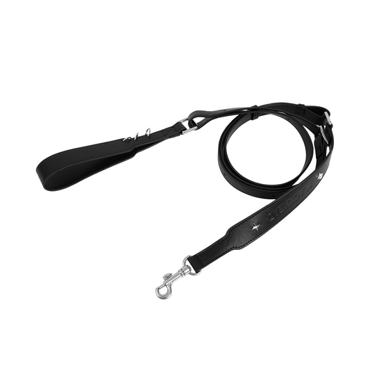 Paws Park Starburst Microfiber Leather Pet Leash