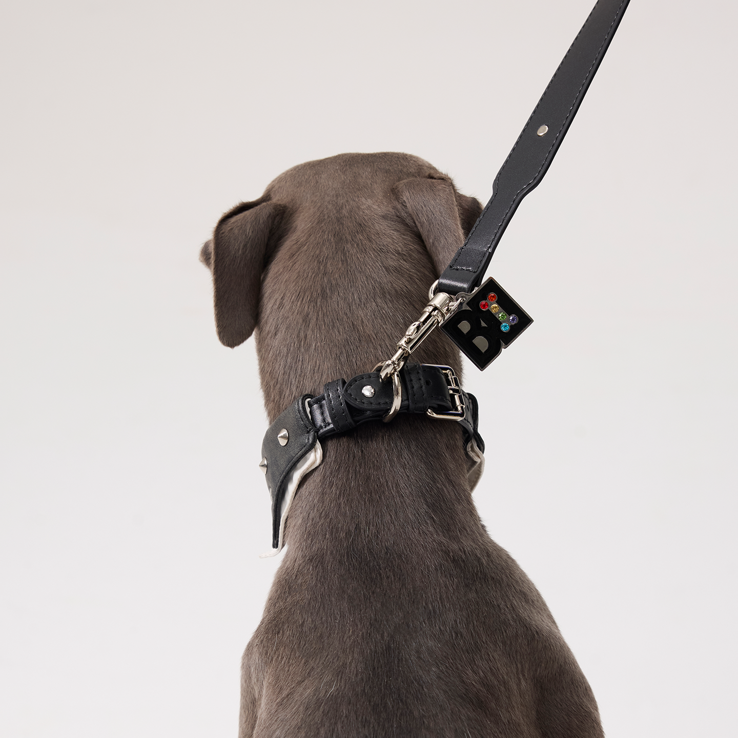 Starburst Microfiber Leather Pet Leash