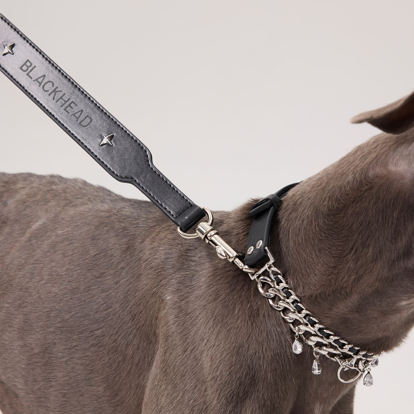 Starburst Microfiber Leather Pet Leash