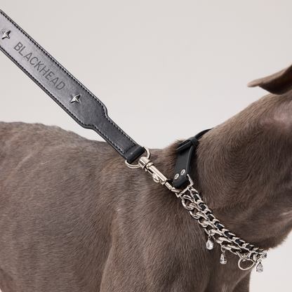 Starburst Microfiber Leather Pet Leash
