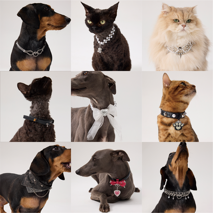 Paws Park Pet Collar & Necklace