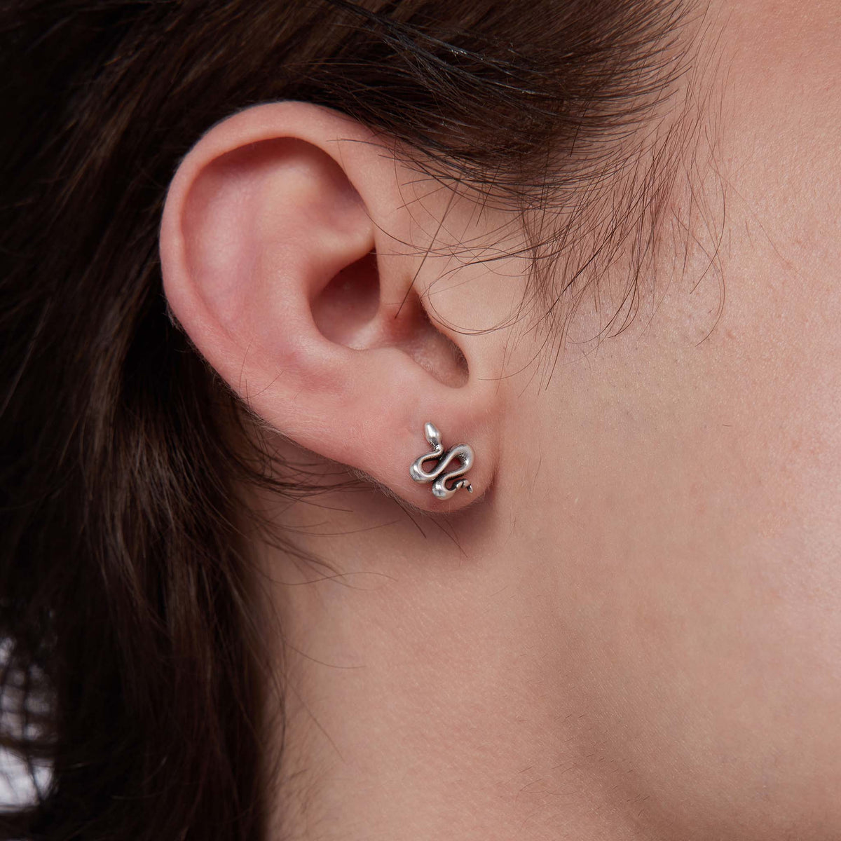 Coiled Serpent Stud Earrings - view 5