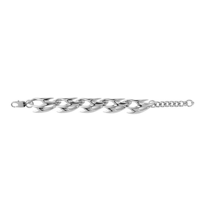 Snake Bone Chain Bundle（Necklace + Bracelet）
