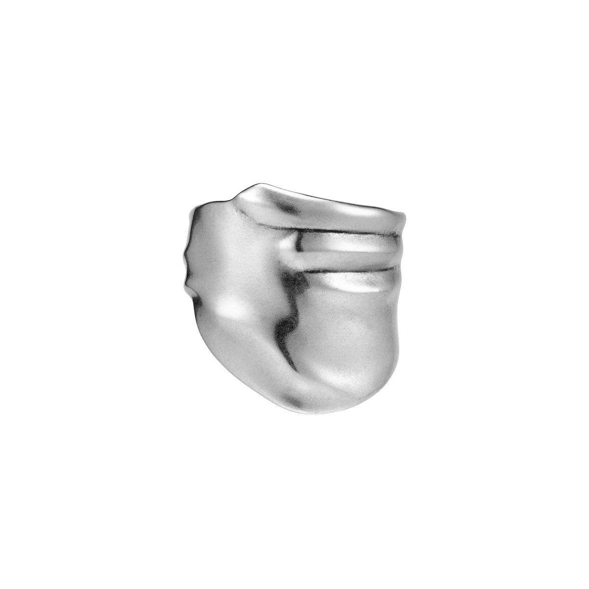 S925 Booby Bird Wing Wide Band Ring