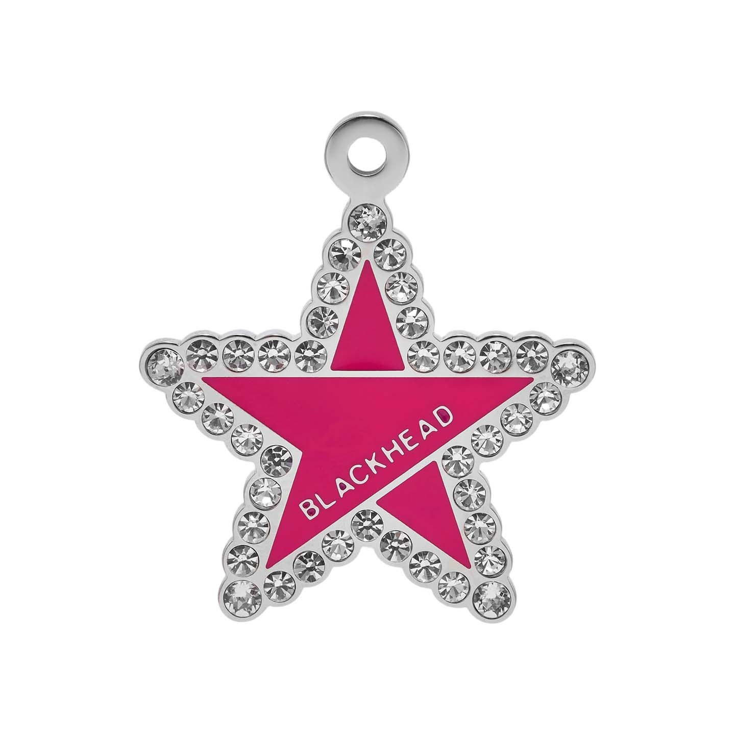 Paws Park Pet Tag Set